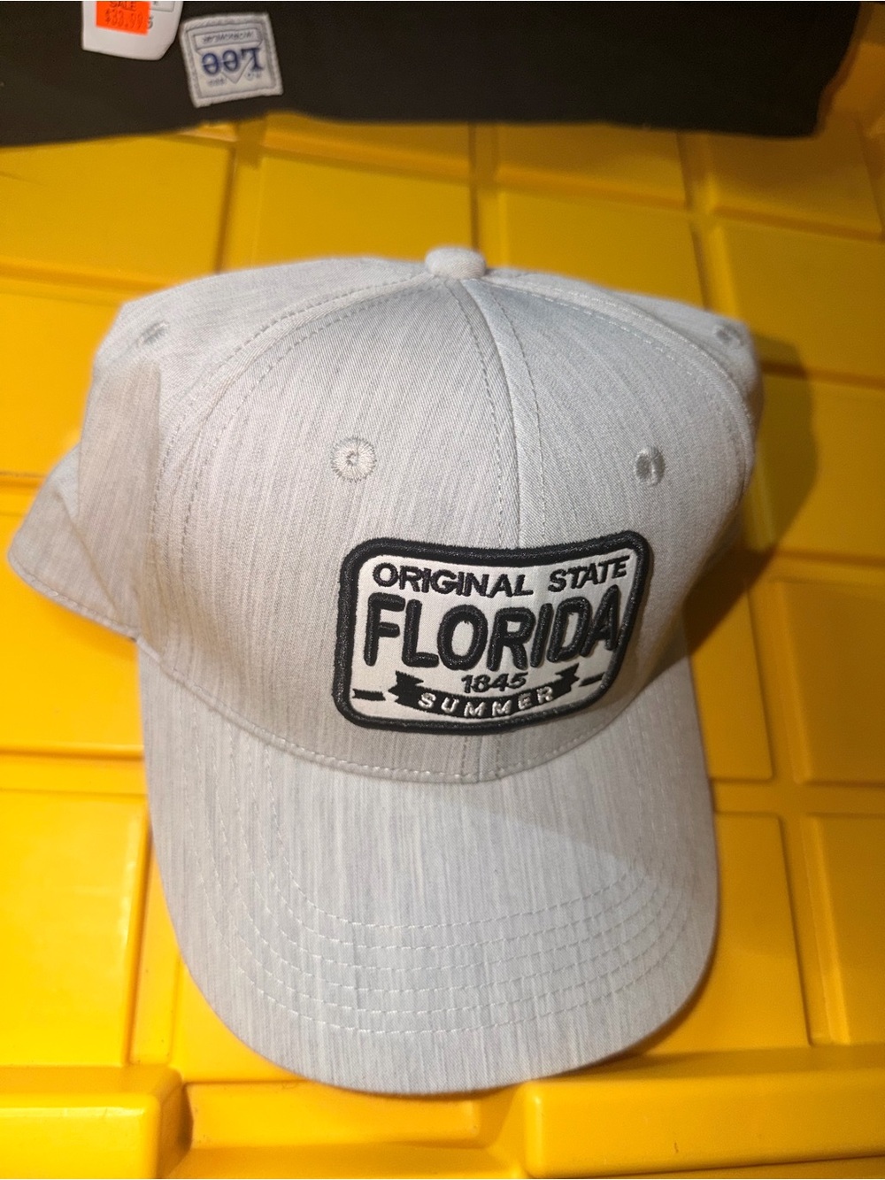 Robin‎ Ruth Florida Original State Adjustable Snapback Hat Cap Gray